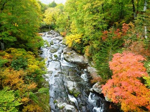 賀老渓谷の紅葉(昇龍の橋より上流側を撮影)